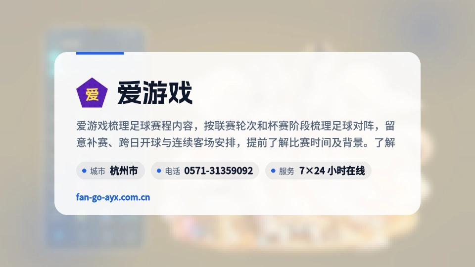 爱游戏概况